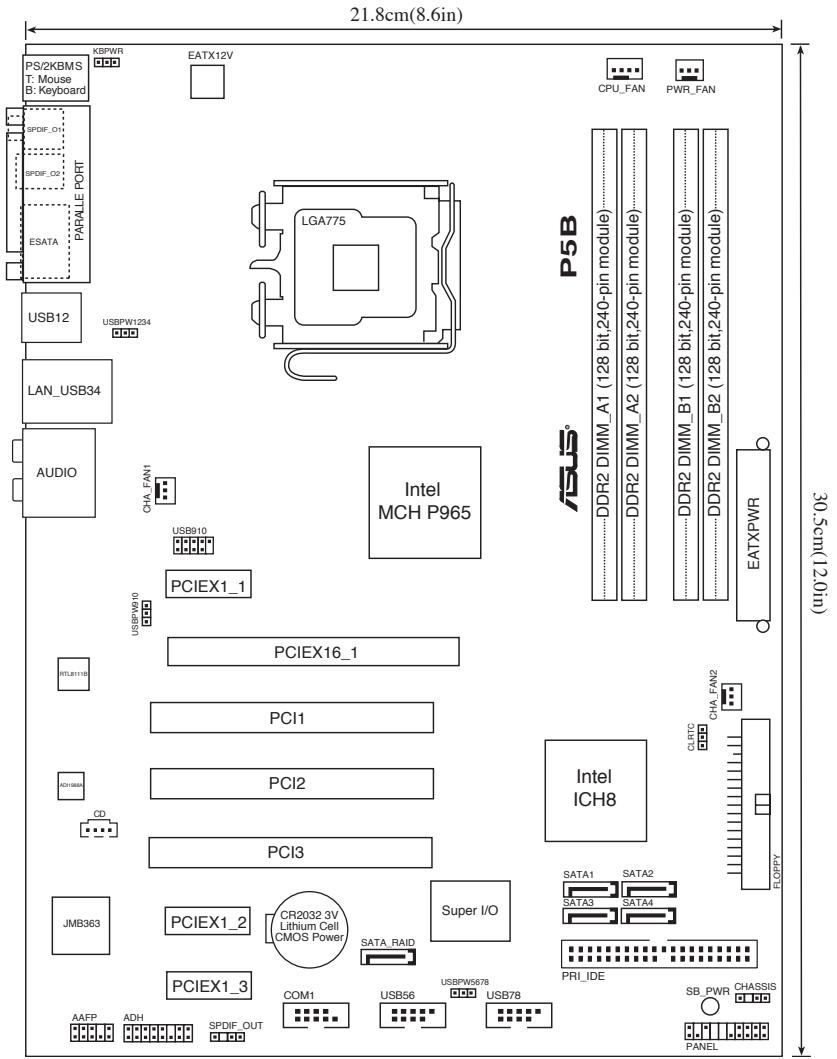 ASUS P5B - Layout de la carte mère - 1
