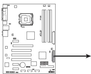 ASUS P5B - Connecteur pour lecteur de disquettes (34-1 pin FLOPPY) - 2