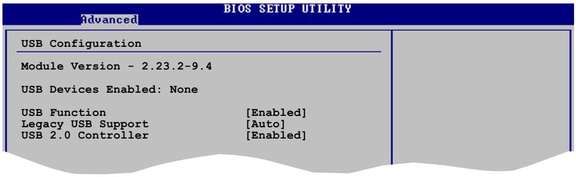 ASUS P5GD2 - USB Configuration - 1