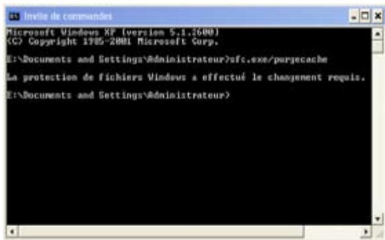 ASUS EEE PC 8G - Effacer les données de sauvegarde du système - 1