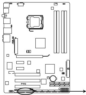 ASUS P5Q - Connecteur pour lecteur de disquettes (34-1 pin FLOPPY) - 2