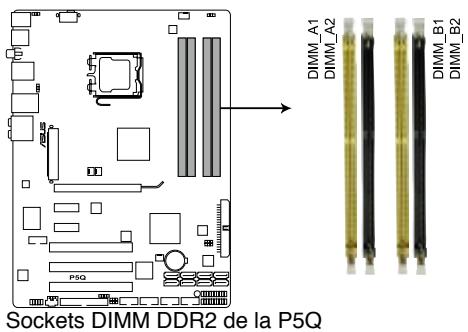 ASUS P5Q - Vue générale - 1