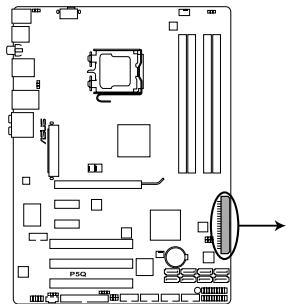 ASUS P5Q - Connecteur IDE (40-1 pin PRI_IDE) - 1