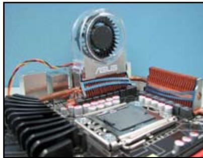 ASUS P6T DELUXE V2 - Installer les ventilateurs optionnels - 6