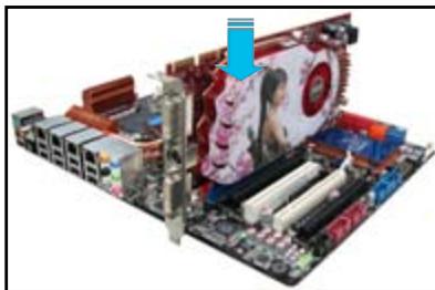 ASUS P6T DELUXE V2 - Installation de deux cartes graphiques crossfirex - 1