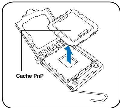 ASUS P6T DELUXE V2 - Installer le CPU - 6