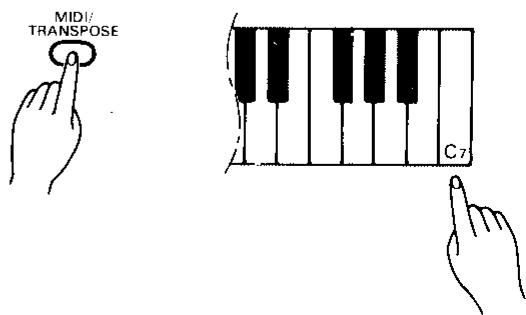 YAMAHA CLP-560-CLP-360 - Morceaux de démonstration du CLP-360 - 1