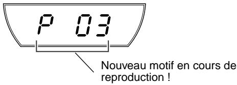 P 03 Nouveau motif en cours de reproduction!