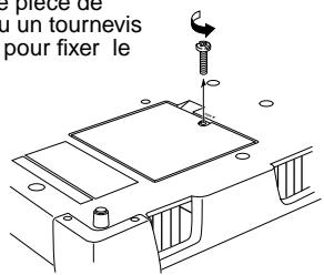 le pièce de u un tournevis pour fixer le