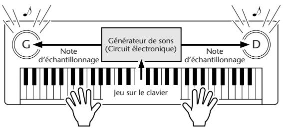 YAMAHA DJX-PSR-D1- - MIDI, QU'EST-CE QUE C'EST ? - 2