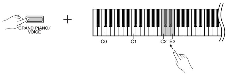 YAMAHA P-70-P-70S - Sélection d'un type de réverbération - 1