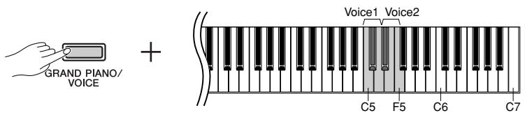 YAMAHA P-70-P-70S - Réglage de l'octave - 1