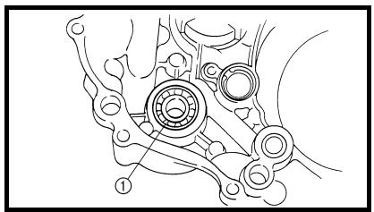YAMAHA WR250F - ELEMENTO DEL FILTRO DE ACEITE, BOMBA DE AGUA Y TAPA DEL CÁRTER DERECHA - 6