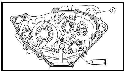 YAMAHA WR250F - ATENCION: - 3