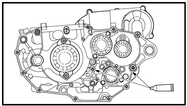 YAMAHA WR450F - CAUTION: - 3