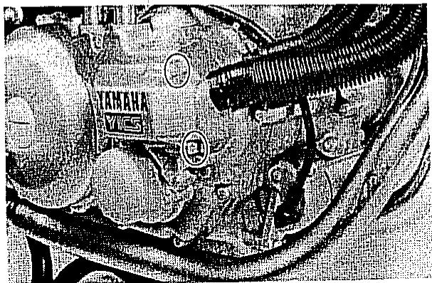 YAMAHA XZ550 - b. Kühler - 1
