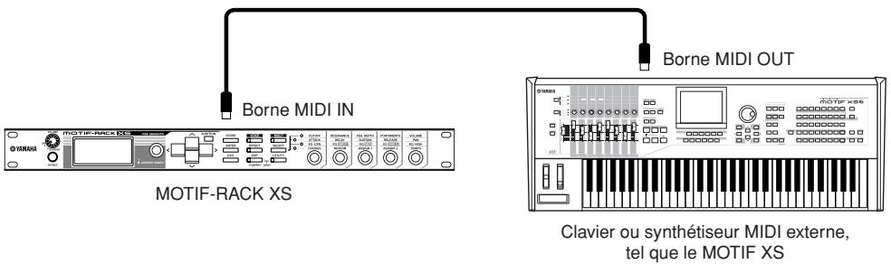 YAMAHA MOTIF-RACK XS - Connexion à un équipement MIDI externe - 1