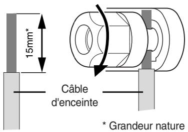 15mm* Câble d'enceinte * Grandeur nature
