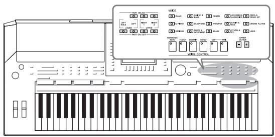 YAMAHA PSR-S910 - NOTE - 1