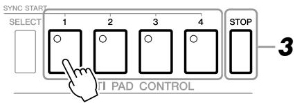 YAMAHA PSR-S910 - Appuyez sur une des touches [1] - [4] de la section MULTI PAD CONTROL pour reproductive une phrase de multi-pad. - 1