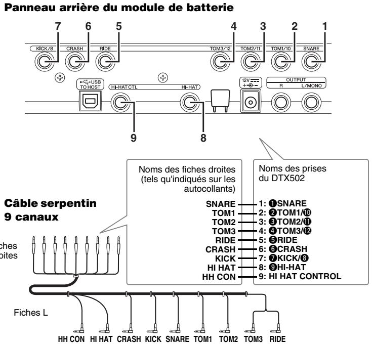YAMAHA DTX532K/DTX562K - Assemblage du pad de grosse caisse - 6