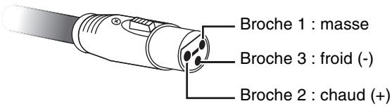YAMAHA HS8/HS7/HS5/HS8S - Connecteurs XLR - 2