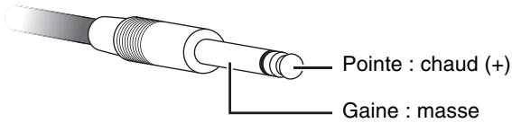 YAMAHA HS8/HS7/HS5/HS8S - Connecteurs de type jack - 2