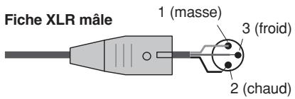 Fiche XLR mâle 1 (masse) 3 (froid) 2 (chaud)