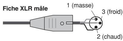 Fiche XLR mâle 1 (masse) 3 (froid) 2 (chaud)