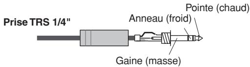 Prise TRS 1/4" Anneau (froid) Pointe (chaud) Gaine (masse)