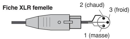 Fiche XLR femelle 2 (chaud) 3 (froid) 1 (masse)