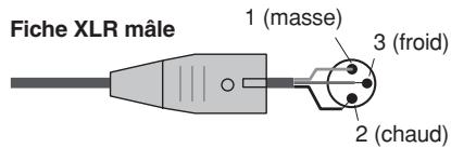 Fiche XLR mâle 1 (masse) 3 (froid) 2 (chaud)