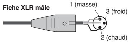 Fiche XLR mâle 1 (masse) 3 (froid) 2 (chaud)