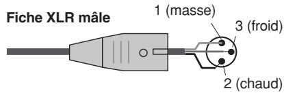 Fiche XLR mâle 1 (masse) 3 (froid) 2 (chaud)