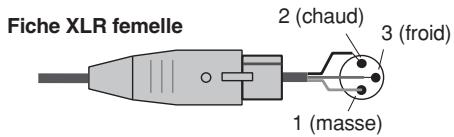 Fiche XLR femelle 2 (chaud) 3 (froid) 1 (masse)