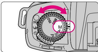 NIKON F80 - Composez, faites la mise au point et prenez la photo. - 1
