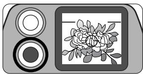 NIKON LITE TOUCH ZOOM 70WS-QD - Vérifiez si le témoin vert est allumé et prenez la photo. - 1