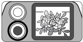 NIKON LITE TOUCH ZOOM 70WS-QD - Check that the green LED lights up, then shoot. - 1
