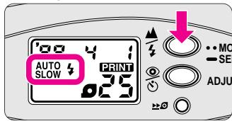 NIKON NUVIS 200 - Flash auto en synchronisation lente - 1