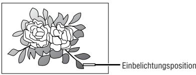 NIKON ONE TOUCH ZOOM 90-QD - Position von Datum/Uhrzeit - 1