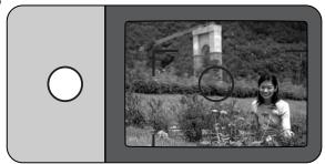 NIKON ONE TOUCH ZOOM 90S-QD - Compose the picture. - 1