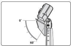 NIKON SB-R200 - Utilisation de l'adaptateur pour macro extréme SW-11 - 3