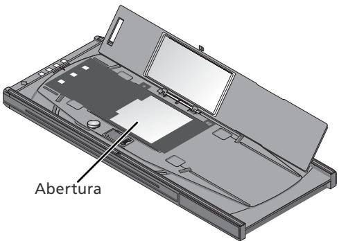 NIKON SUPER COOLSCAN LS-9000 ED - Introduzca lapellicula - 1