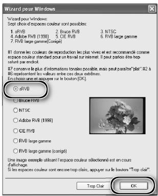 NIKON SUPER COOLSCAN LS-9000 ED - Windows 98 SE - 5