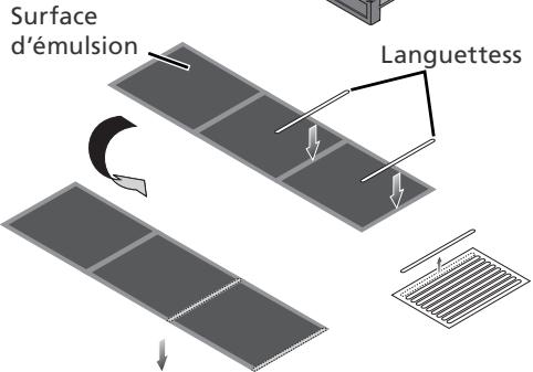 NIKON SUPER COOLSCAN LS-9000 ED - Anneaux de Newton - 2