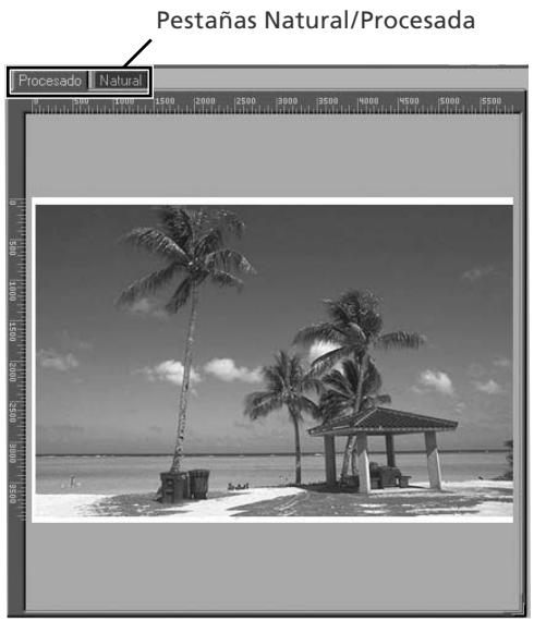 NIKON SUPER COOLSCAN LS-9000 ED - La pestaña del compartmento de miniaturas - 2