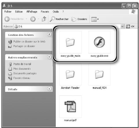 NIKON SUPER COOLSCAN LS-9000 ED - Affichage du Guide de numérisation (Windows) - 1