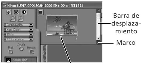 NIKON SUPER COOLSCAN LS-9000 ED - Seleccion los fotogramas - 2
