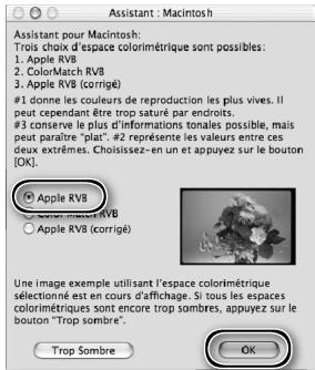 NIKON SUPER COOLSCAN LS-9000 ED - Cliquez sur Utiliser l'assistant (re-commandé) - 3