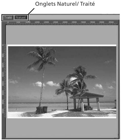 NIKON SUPER COOLSCAN LS-9000 ED - Zone d'aperçu - 1